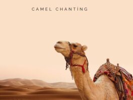 Camel_Chanting_hedaa